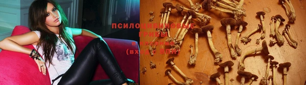 ешки Михайловка