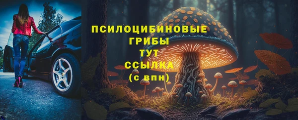 ALPHA PVP Медвежьегорск